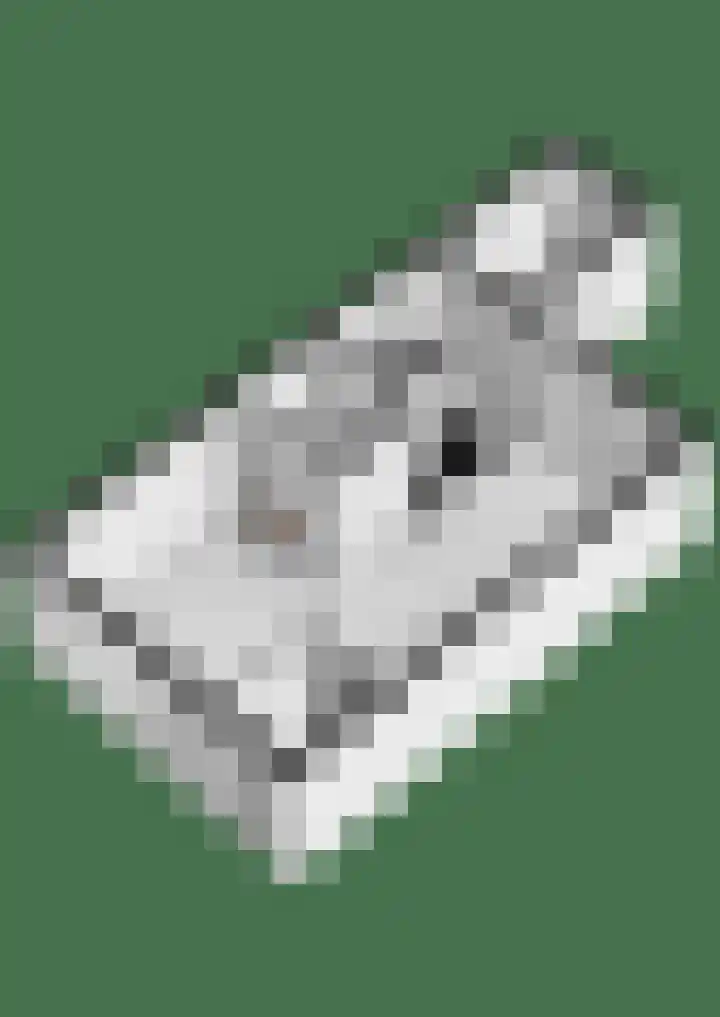 Hallehuis 14 Hardinxveld-Giessendam thumbnail 33