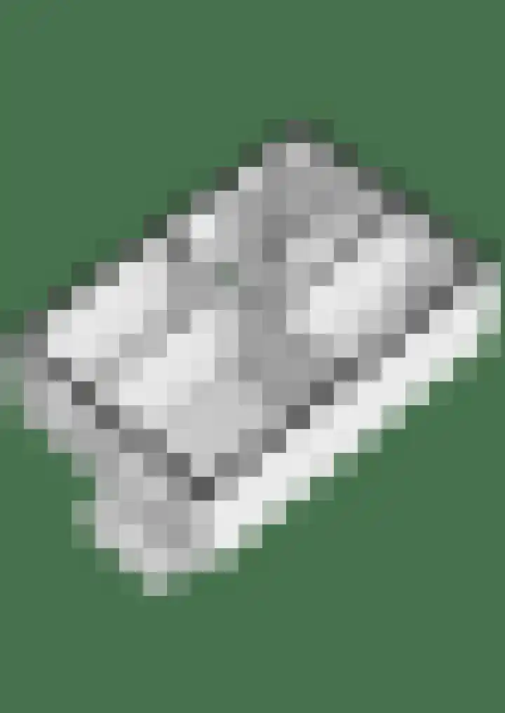 Hallehuis 14 Hardinxveld-Giessendam thumbnail 35