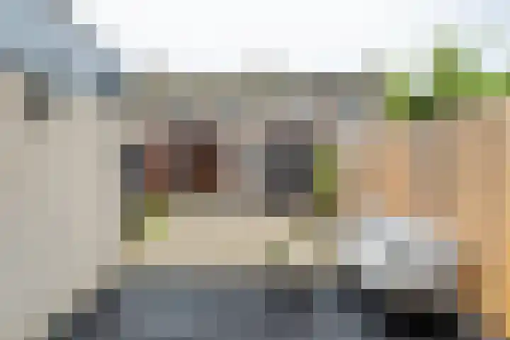 Hallehuis 14 Hardinxveld-Giessendam thumbnail 4