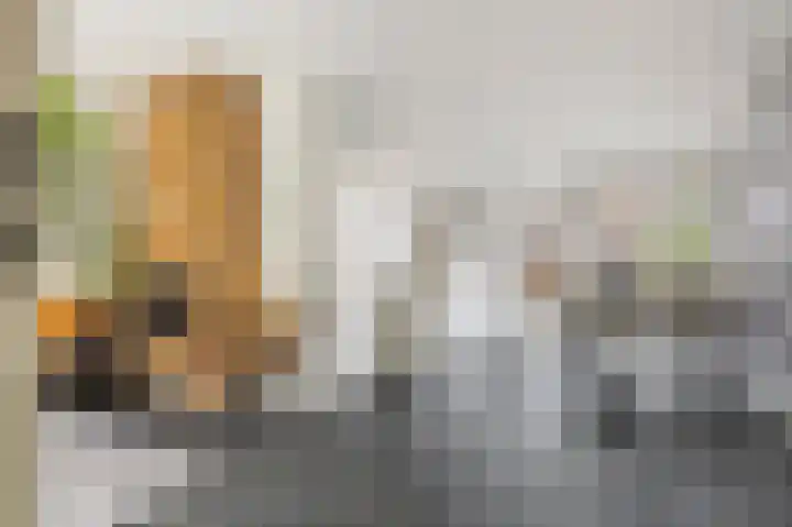Hallehuis 14 Hardinxveld-Giessendam thumbnail 5
