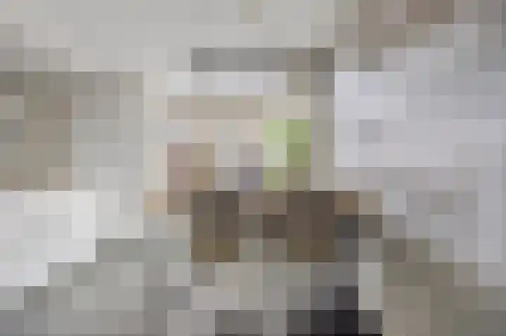 Hallehuis 14 Hardinxveld-Giessendam thumbnail 8