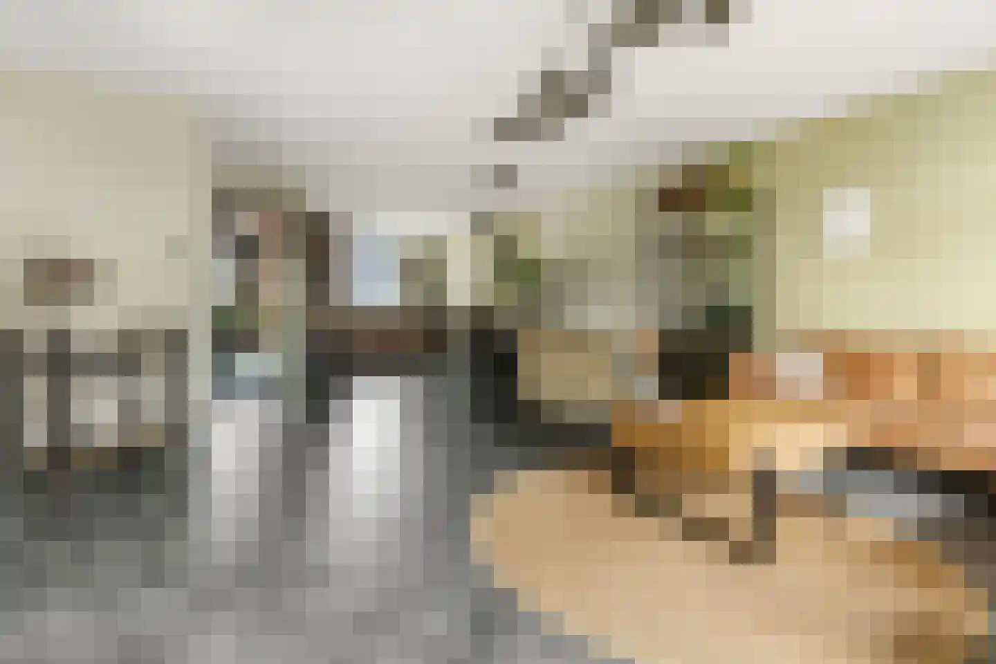 Hallehuis 34 Voorthuizen thumbnail 10
