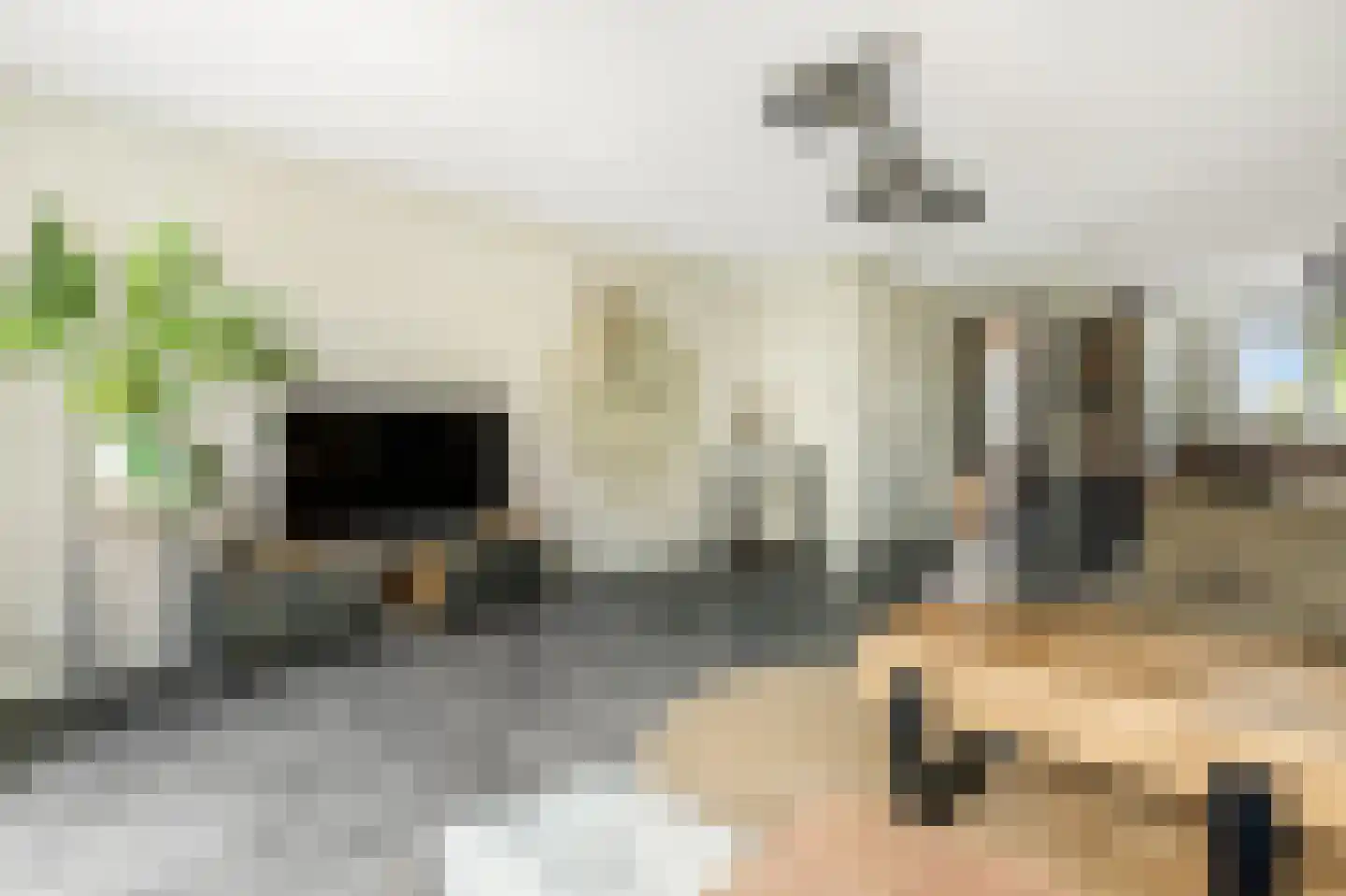 Hallehuis 34 Voorthuizen thumbnail 11