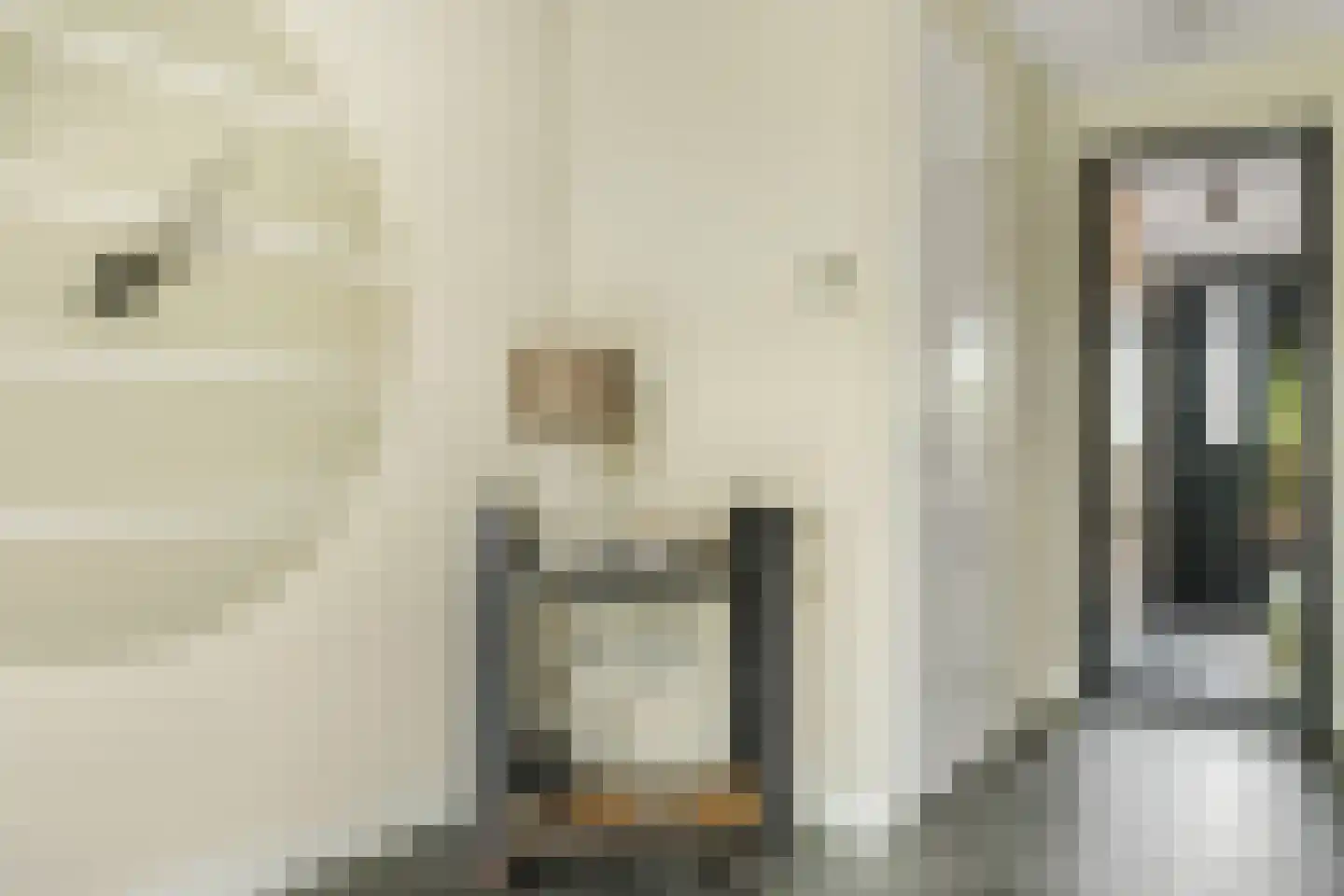 Hallehuis 34 Voorthuizen thumbnail 12