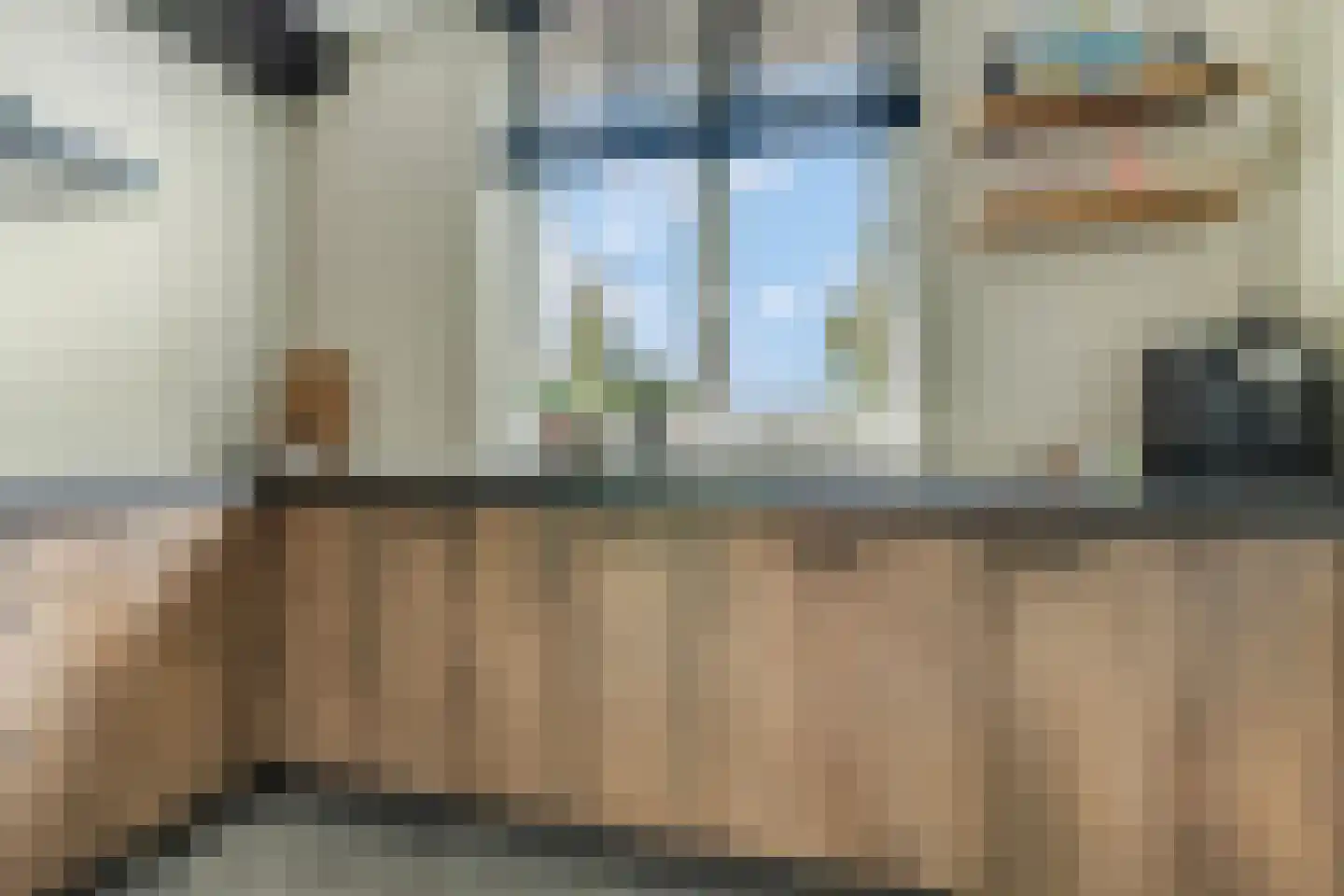 Hallehuis 34 Voorthuizen thumbnail 15