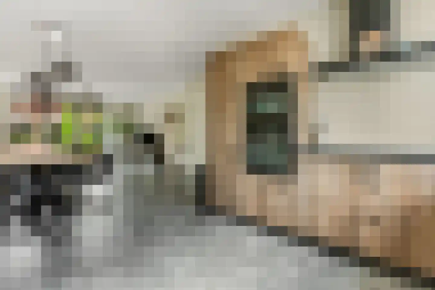 Hallehuis 34 Voorthuizen thumbnail 16