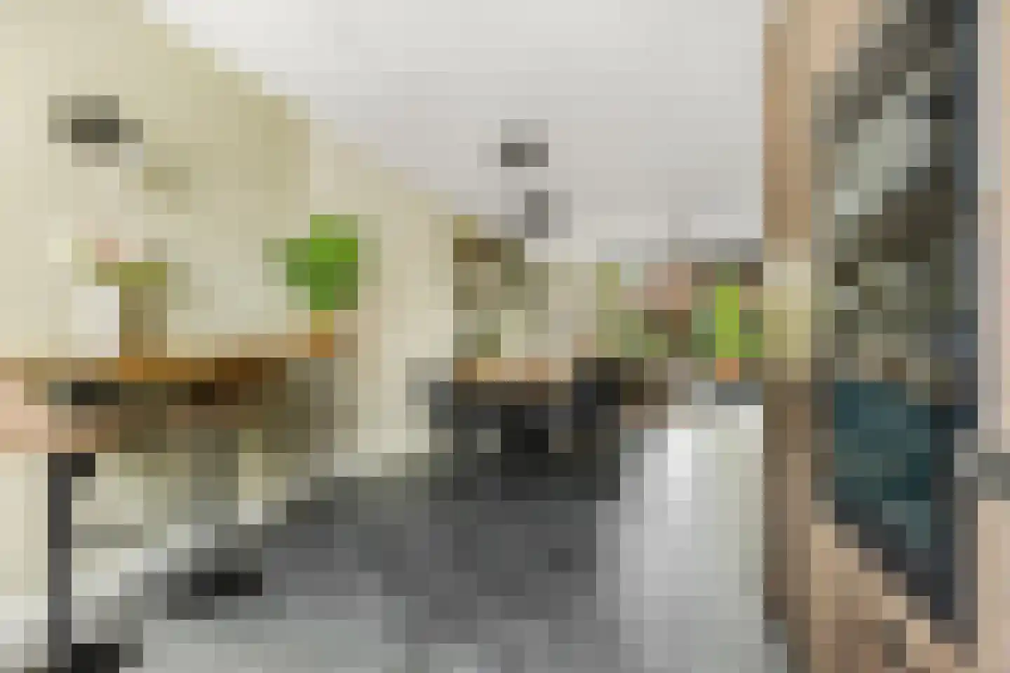 Hallehuis 34 Voorthuizen thumbnail 17