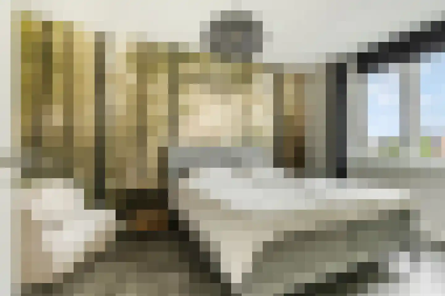 Hallehuis 34 Voorthuizen thumbnail 21