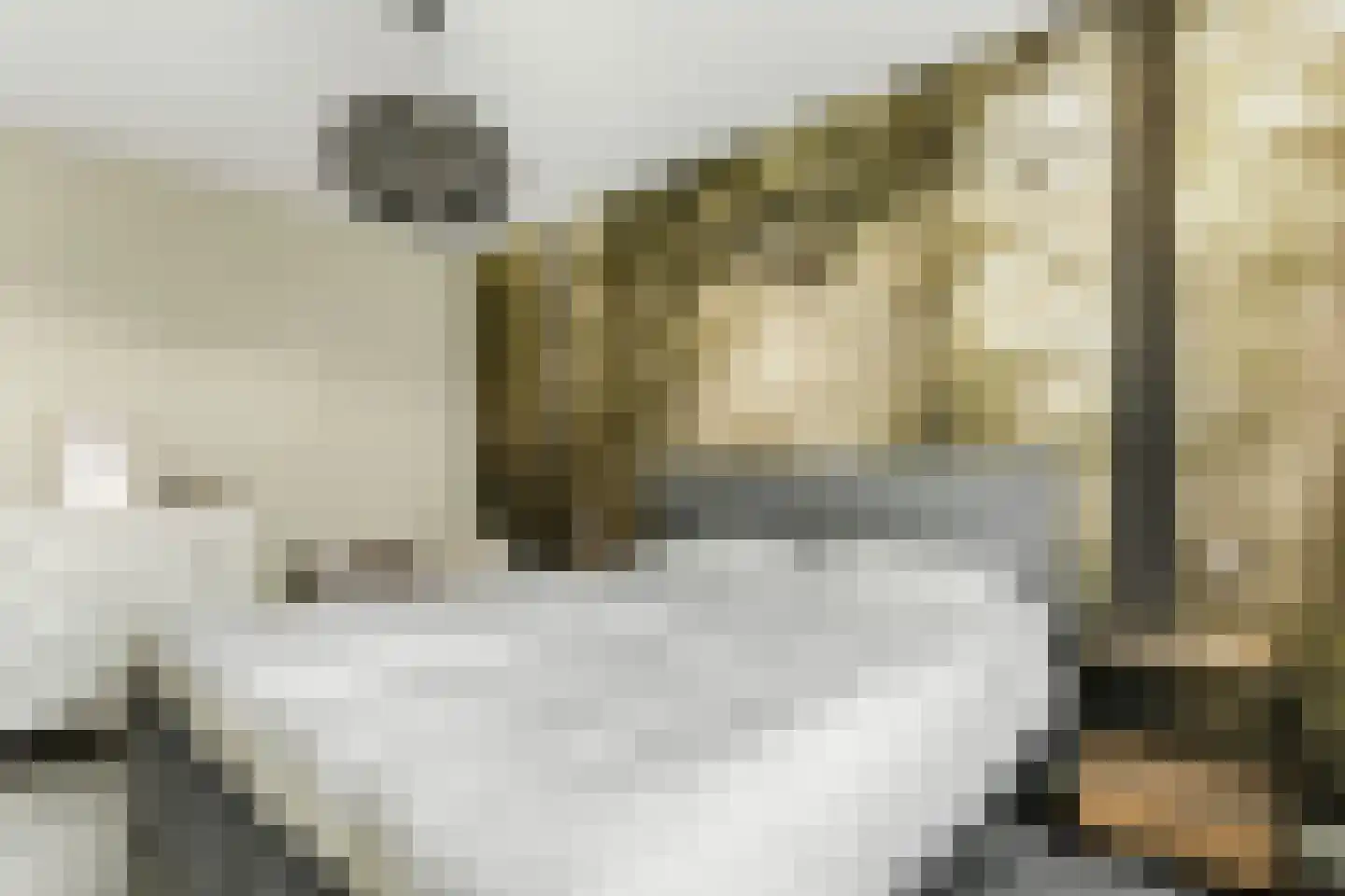 Hallehuis 34 Voorthuizen thumbnail 22