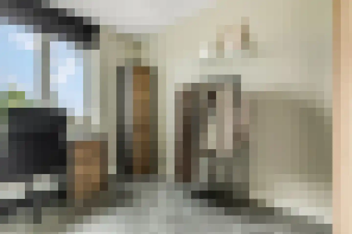 Hallehuis 34 Voorthuizen thumbnail 23