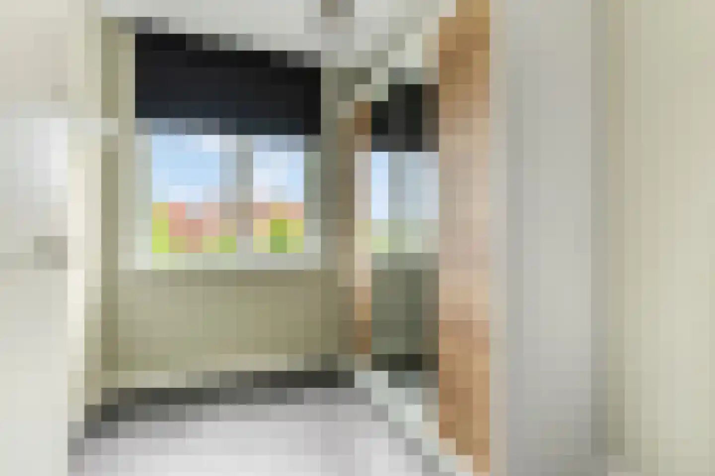 Hallehuis 34 Voorthuizen thumbnail 25