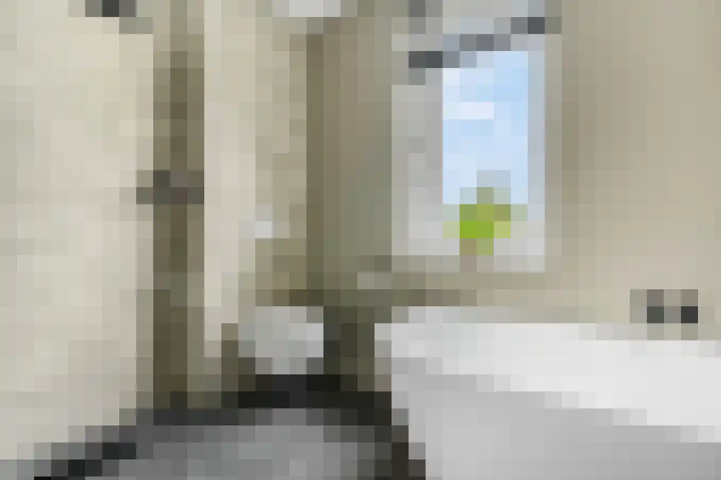 Hallehuis 34 Voorthuizen thumbnail 26