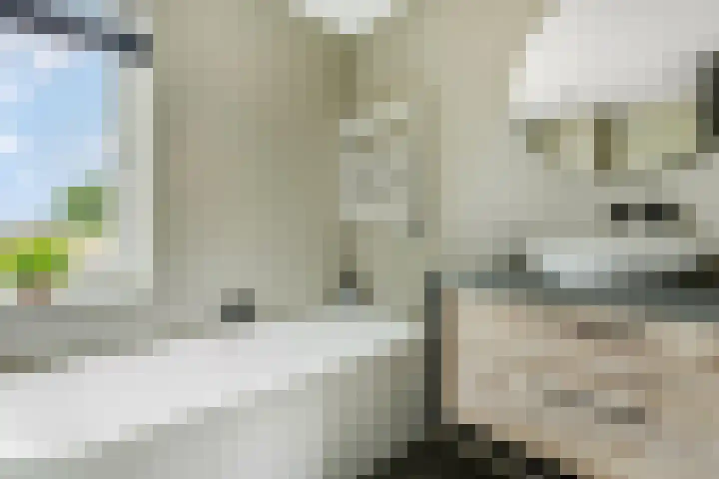 Hallehuis 34 Voorthuizen thumbnail 27