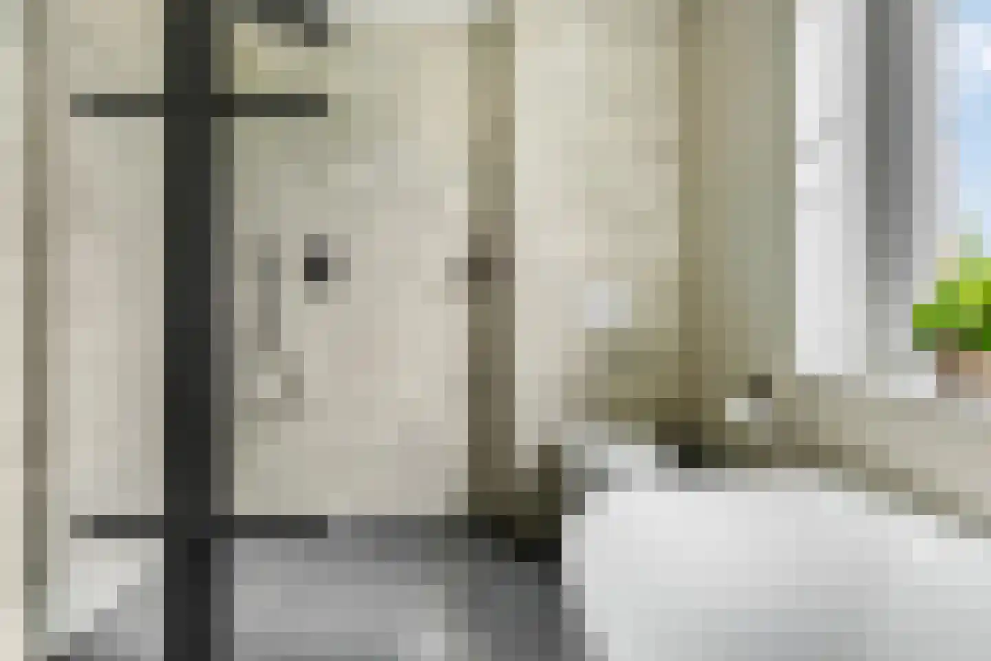 Hallehuis 34 Voorthuizen thumbnail 28
