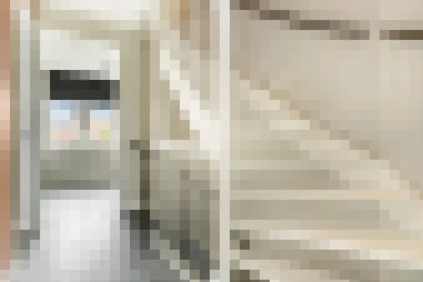 Hallehuis 34 Voorthuizen thumbnail 31