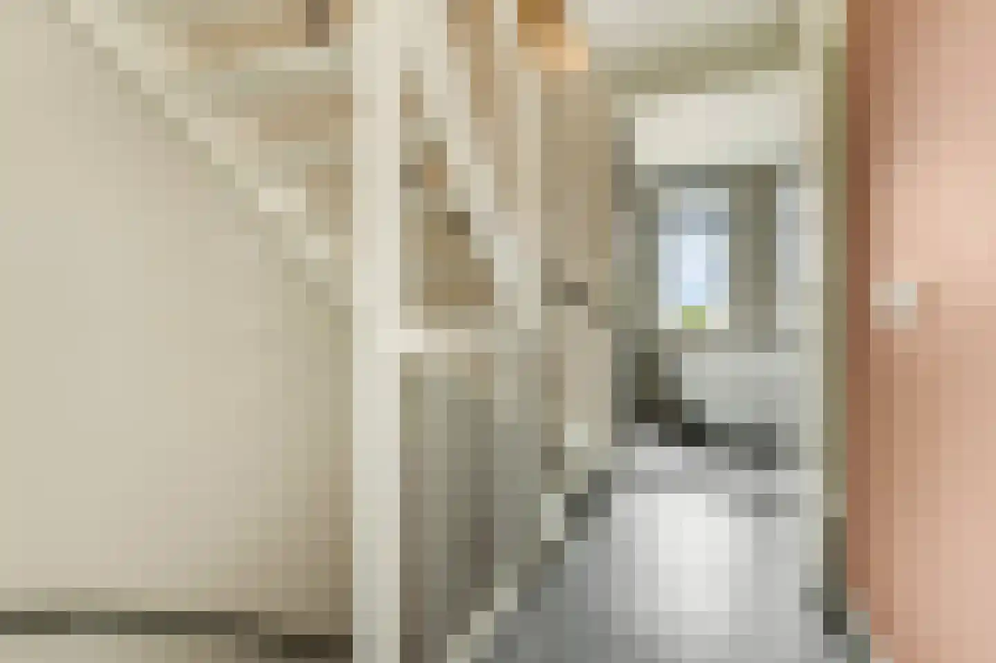 Hallehuis 34 Voorthuizen thumbnail 32