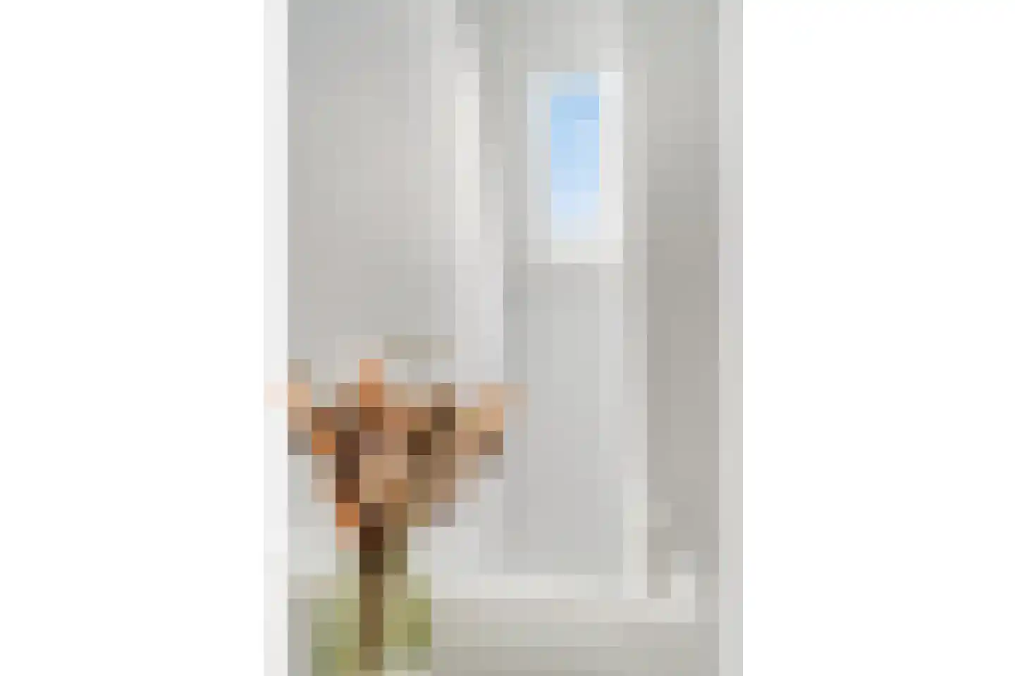 Hallehuis 34 Voorthuizen thumbnail 33