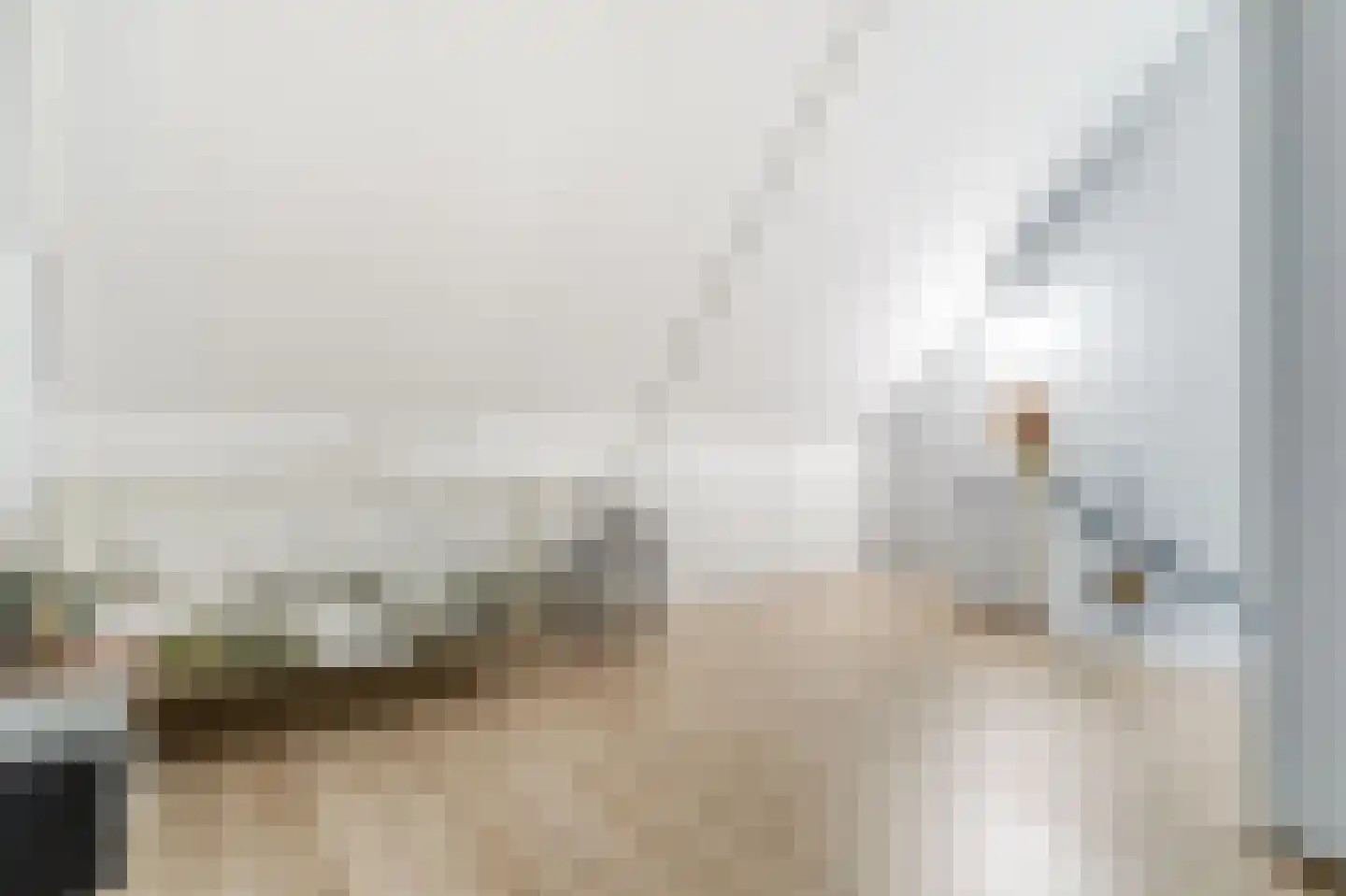 Hallehuis 34 Voorthuizen thumbnail 34