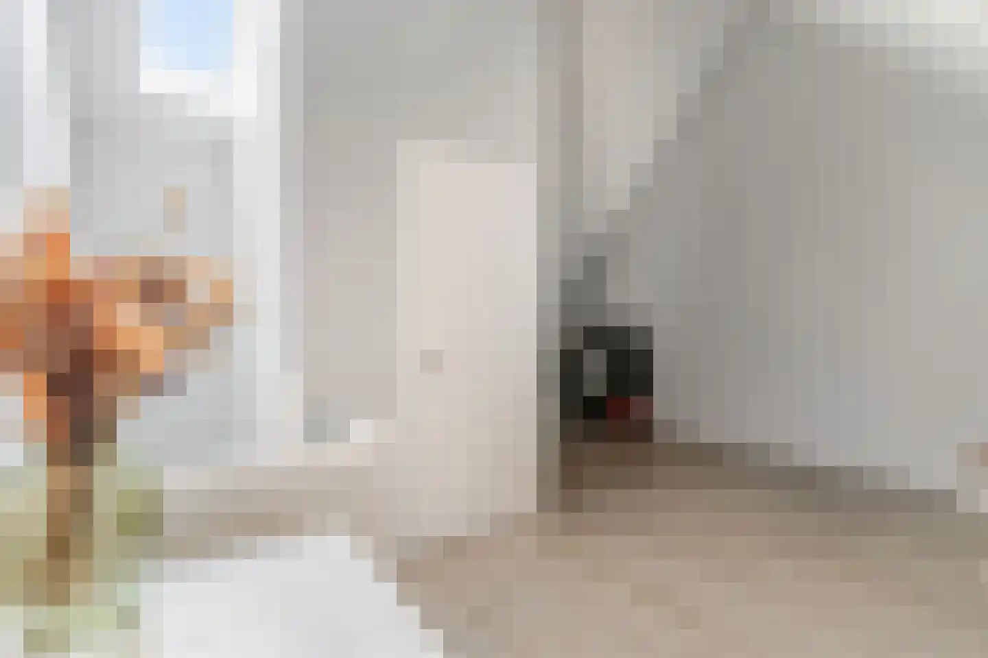 Hallehuis 34 Voorthuizen thumbnail 35