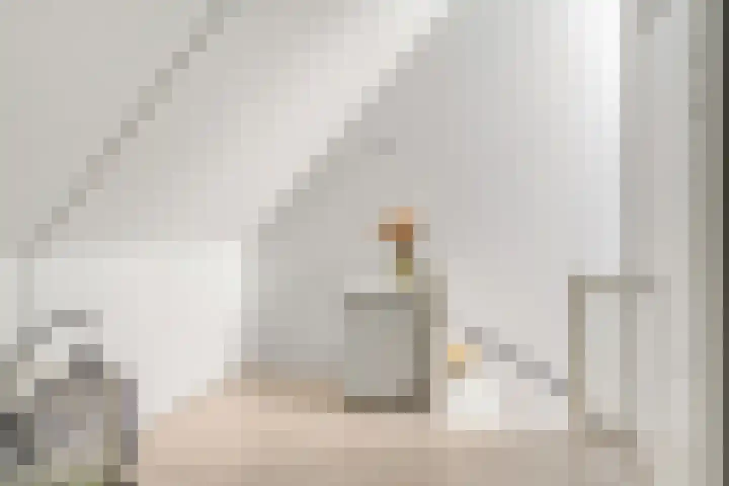 Hallehuis 34 Voorthuizen thumbnail 35