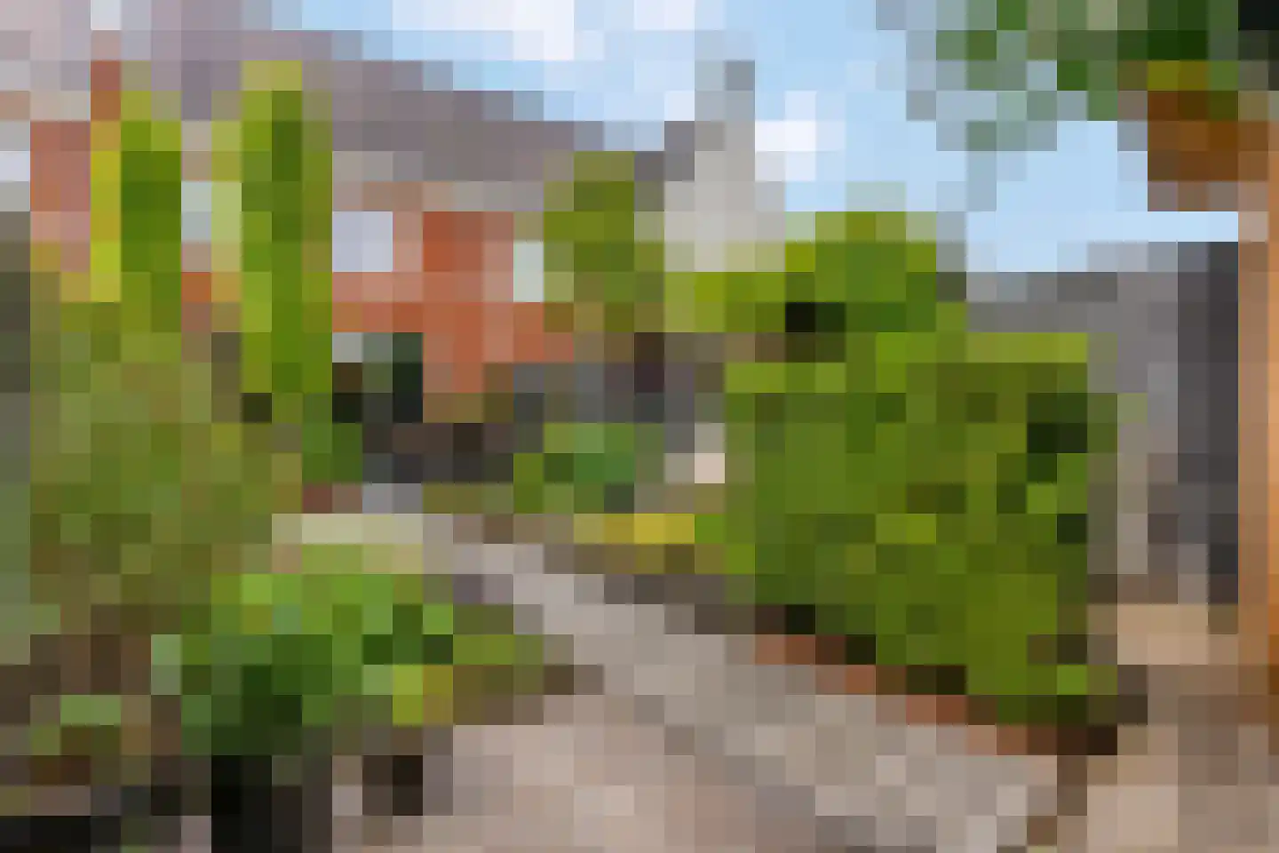Hallehuis 34 Voorthuizen thumbnail 37
