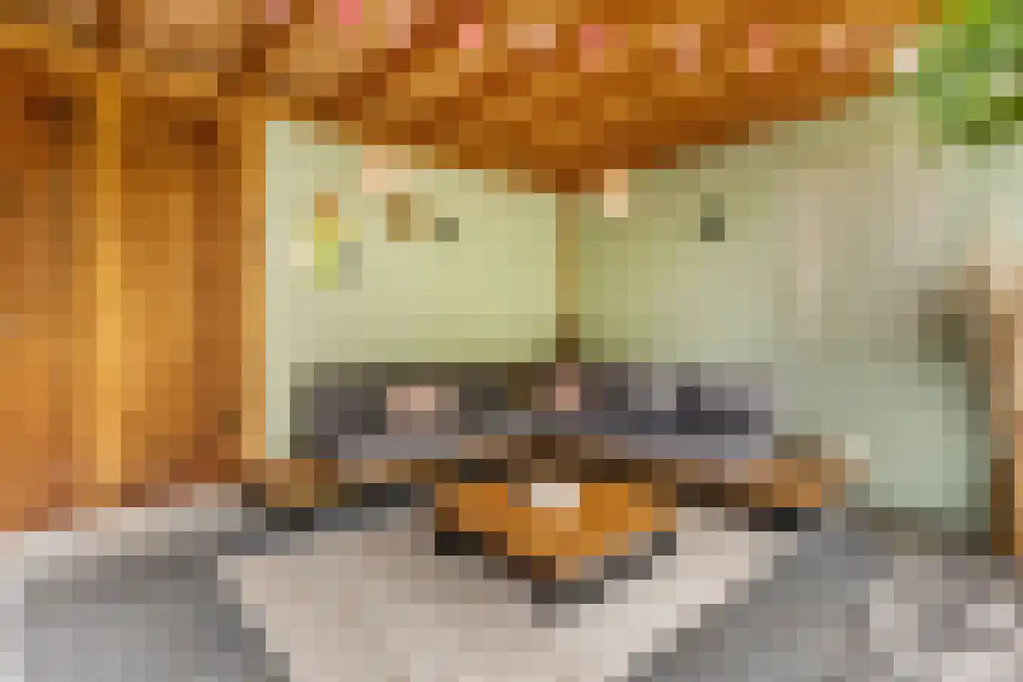Hallehuis 34 Voorthuizen thumbnail 38