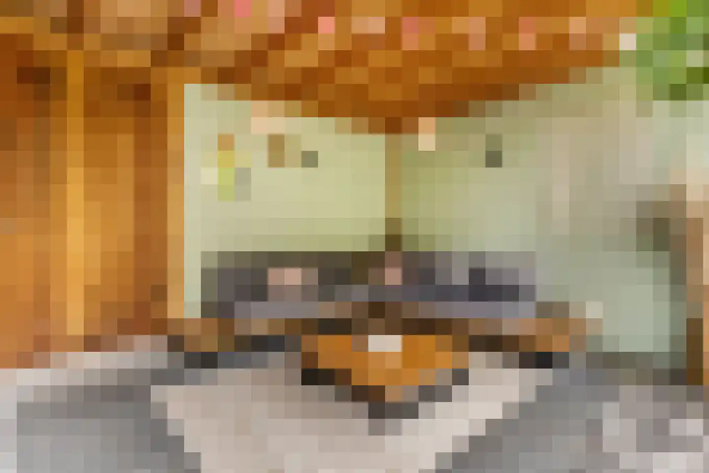 Hallehuis 34 Voorthuizen thumbnail 39
