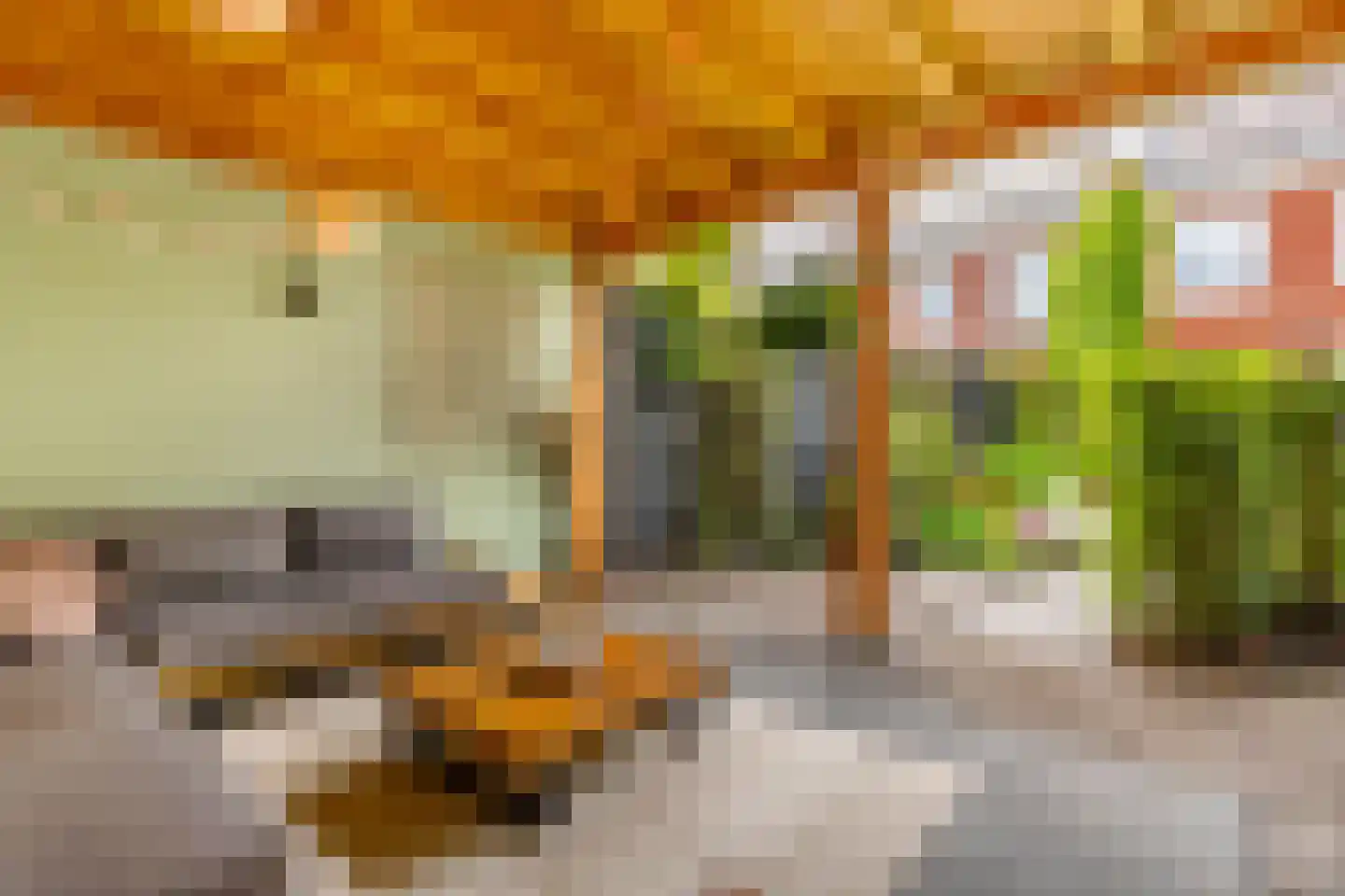 Hallehuis 34 Voorthuizen thumbnail 39