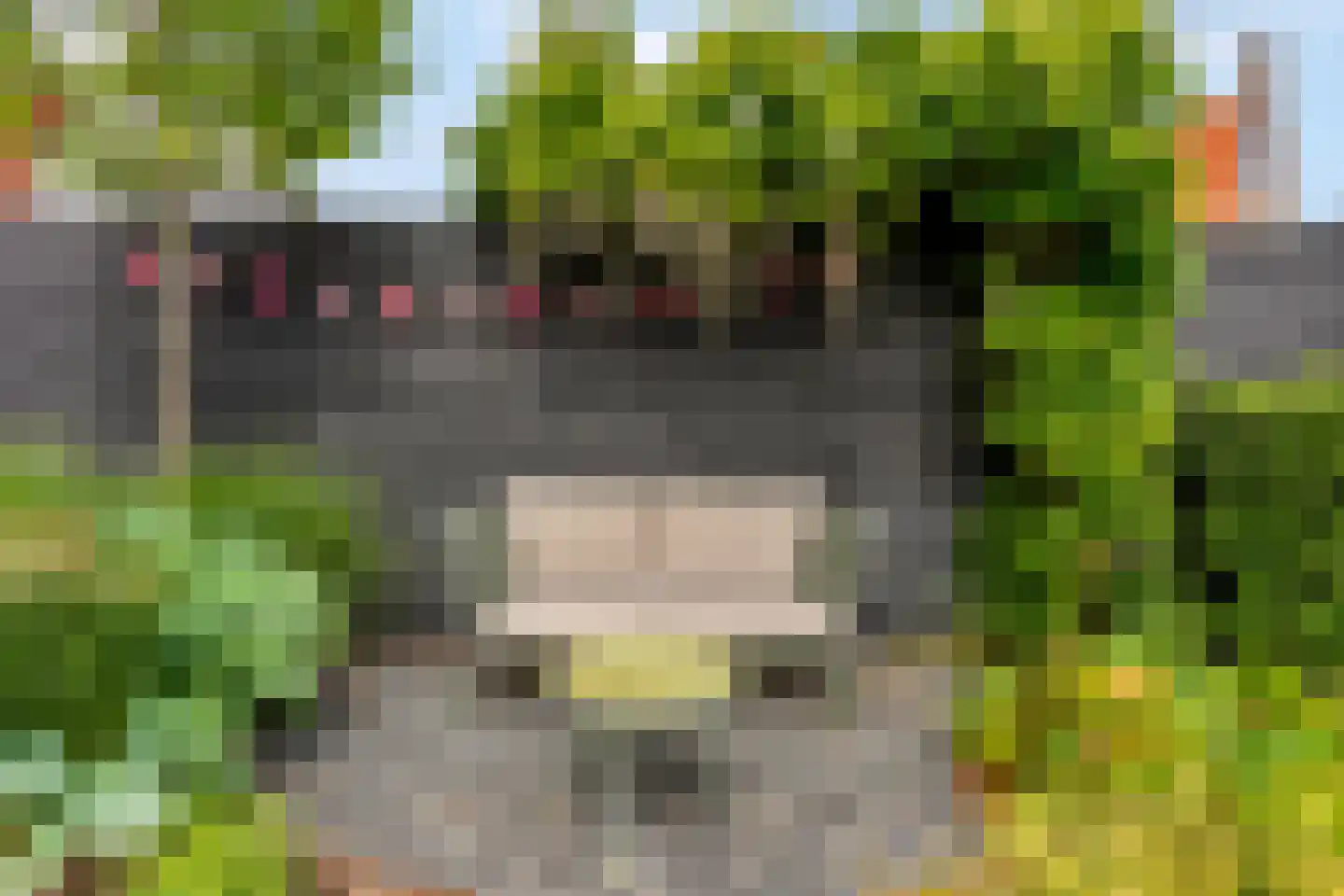 Hallehuis 34 Voorthuizen thumbnail 40