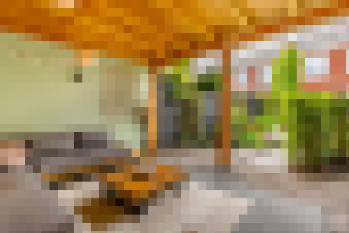Hallehuis 34 Voorthuizen thumbnail 40