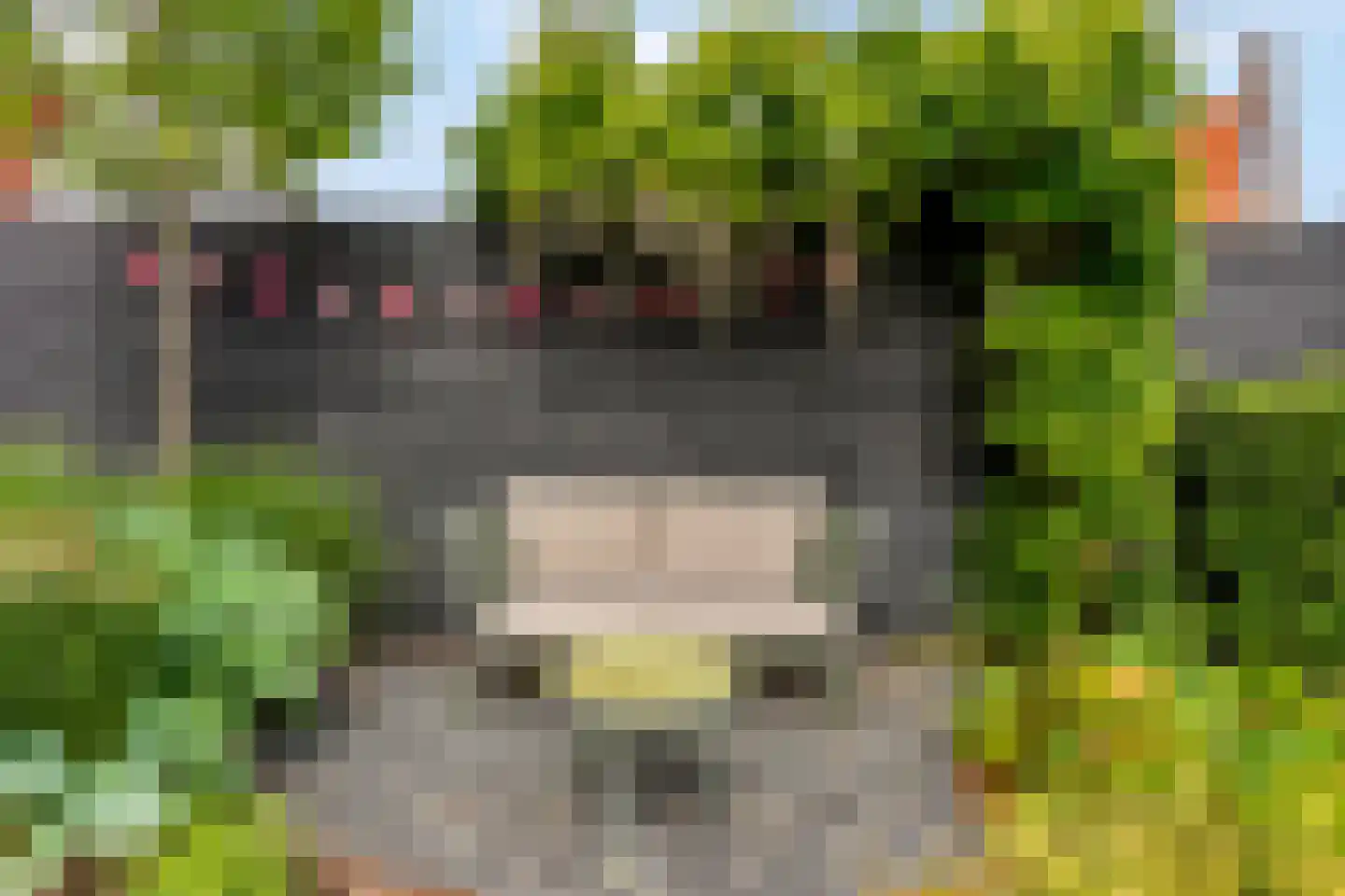 Hallehuis 34 Voorthuizen thumbnail 41