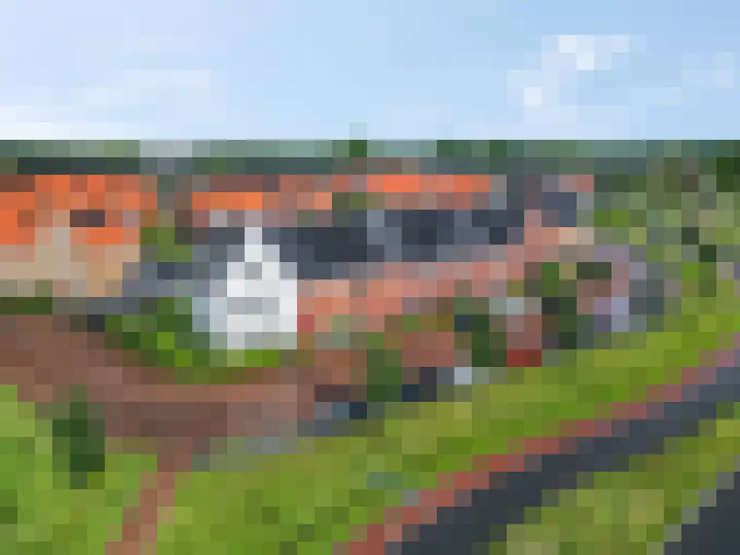 Hallehuis 34 Voorthuizen thumbnail 44