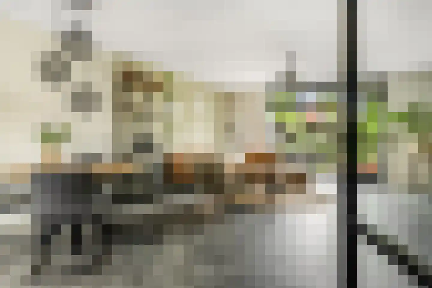 Hallehuis 34 Voorthuizen thumbnail 5