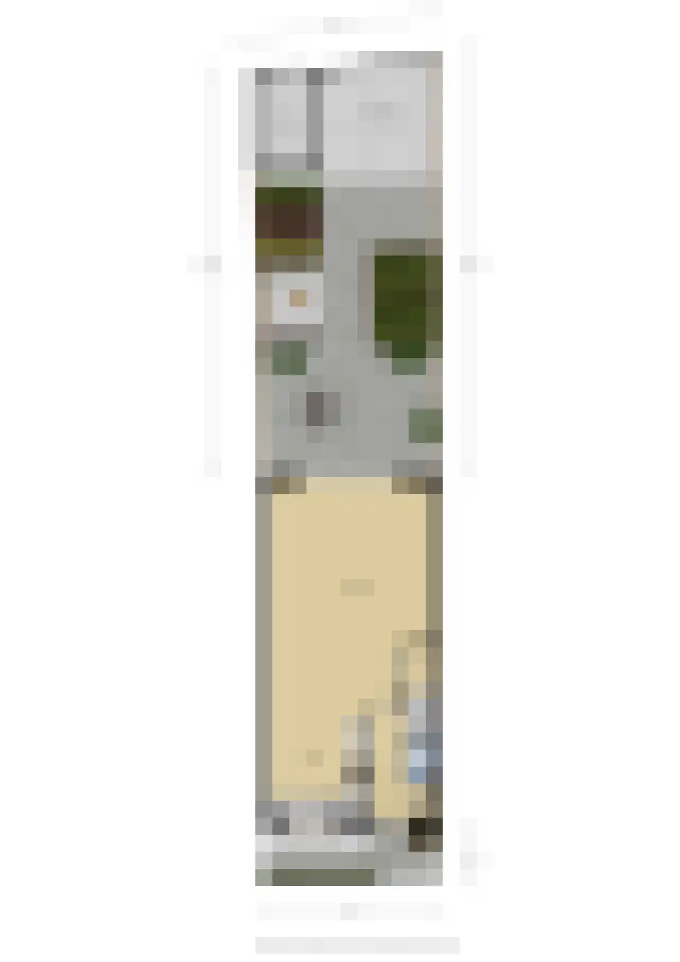 Hallehuis 34 Voorthuizen thumbnail 53
