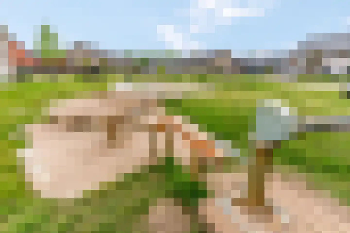 Hallehuis 34 Voorthuizen thumbnail 53
