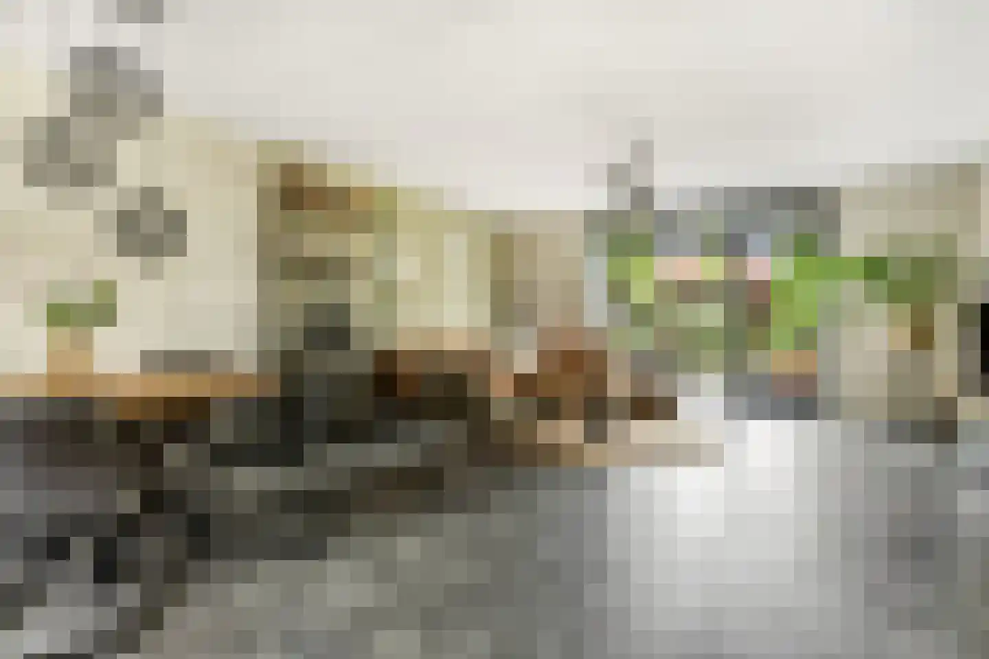 Hallehuis 34 Voorthuizen thumbnail 6