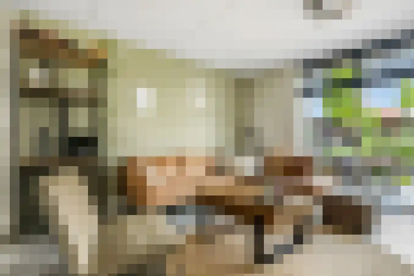 Hallehuis 34 Voorthuizen thumbnail 8