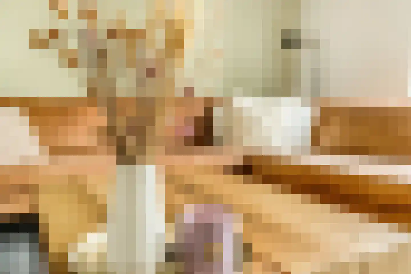 Hallehuis 34 Voorthuizen thumbnail 9
