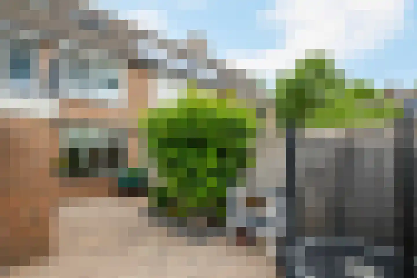Hallehuis 36 Hardinxveld-Giessendam thumbnail 24