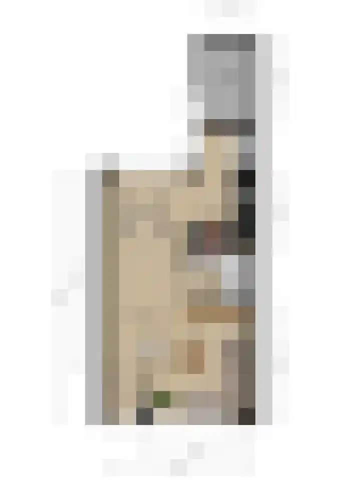 Hallehuis 36 Hardinxveld-Giessendam thumbnail 33