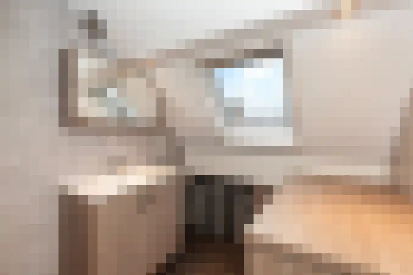 Hallehuis 40 Hardinxveld-Giessendam thumbnail 21