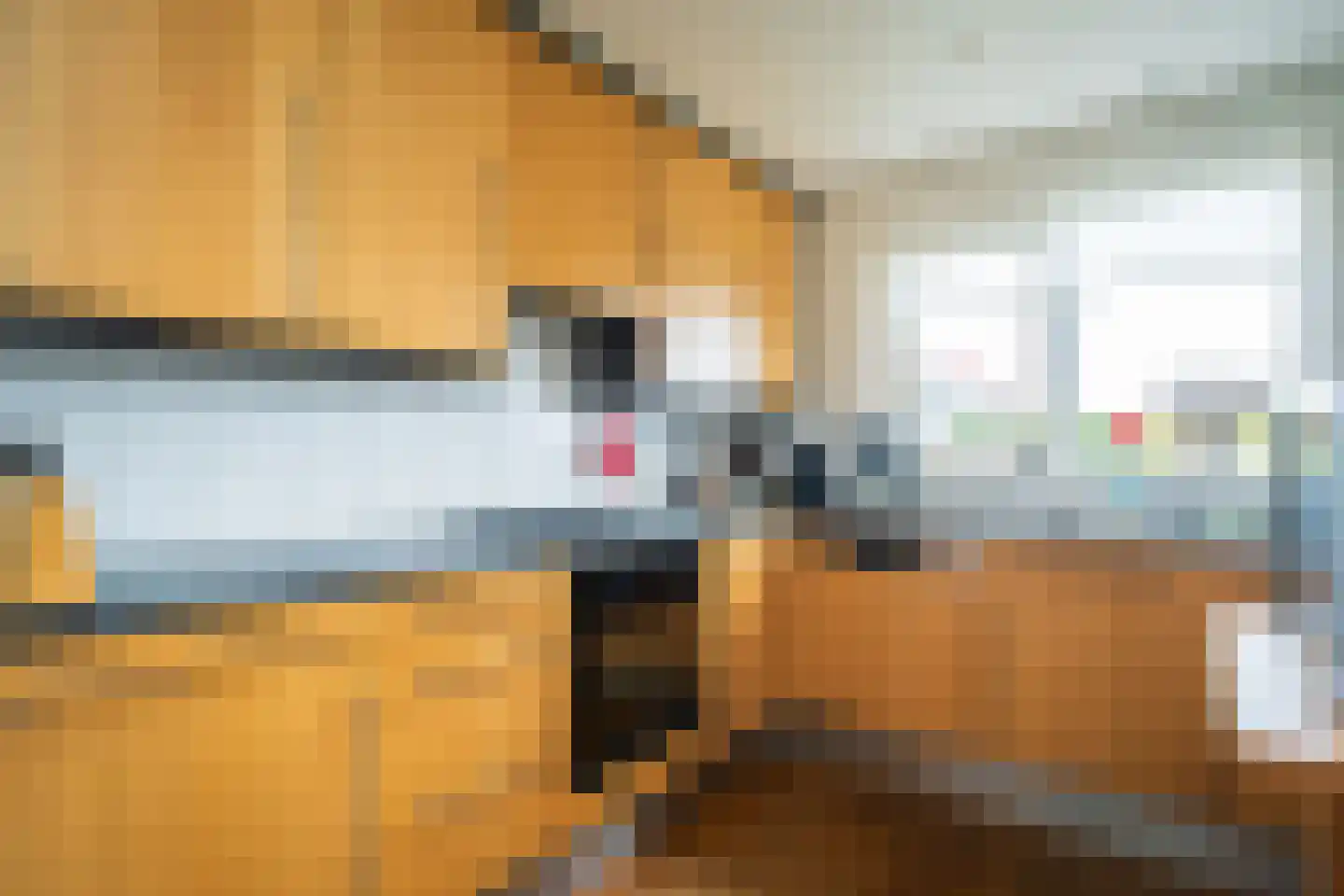 Hallerweg 44 Den Burg thumbnail 22