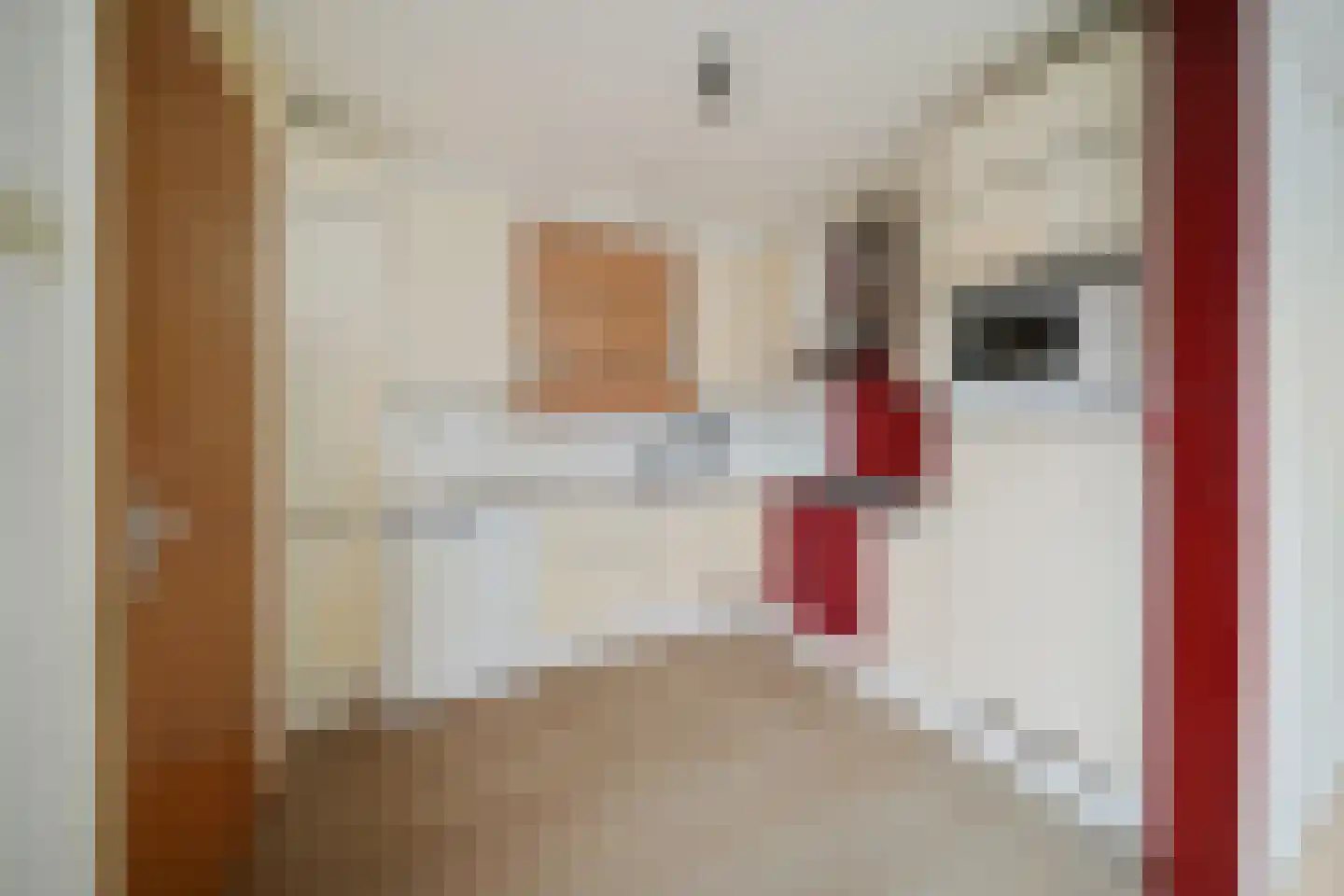 Hallerweg 7 Den Burg thumbnail 7