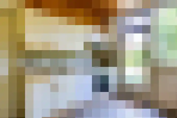 Halleyhof 5 Veldhoven thumbnail 10