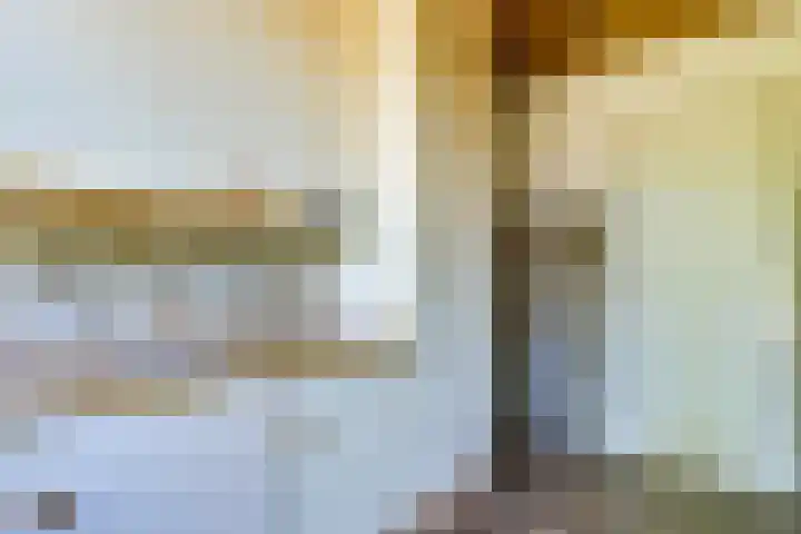 Halleyhof 5 Veldhoven thumbnail 13