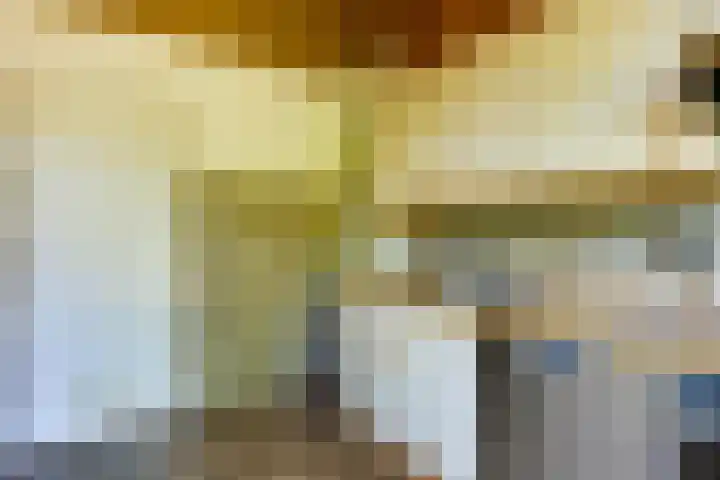 Halleyhof 5 Veldhoven thumbnail 14