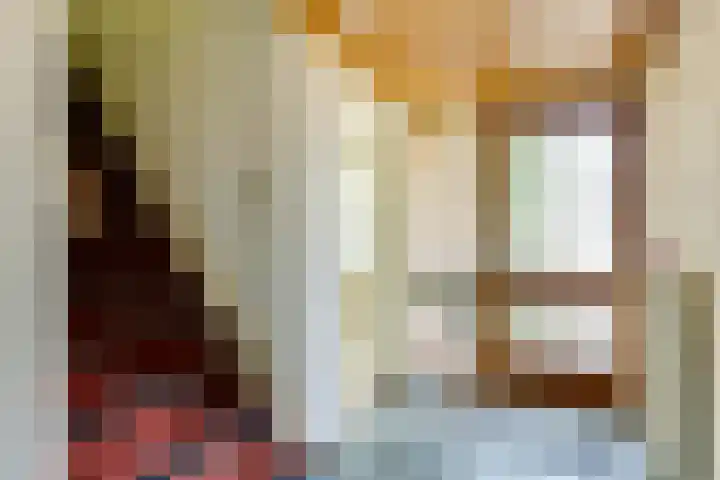 Halleyhof 5 Veldhoven thumbnail 17