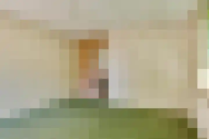 Halleyhof 5 Veldhoven thumbnail 20