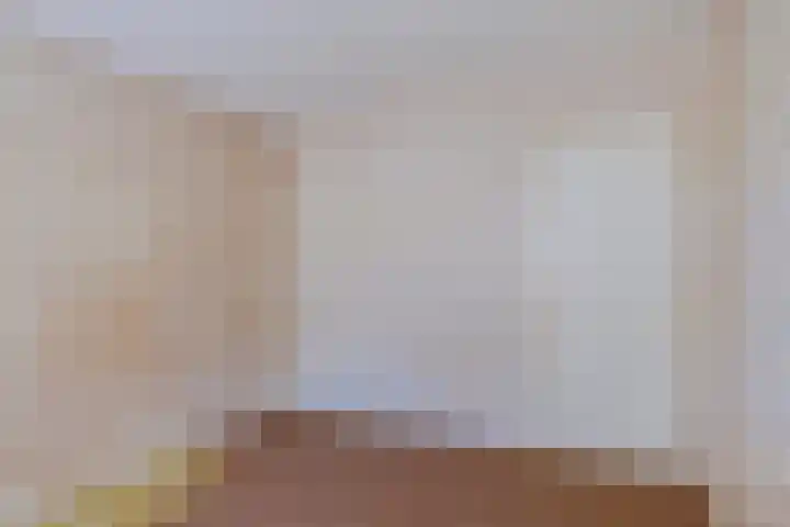 Halleyhof 5 Veldhoven thumbnail 22