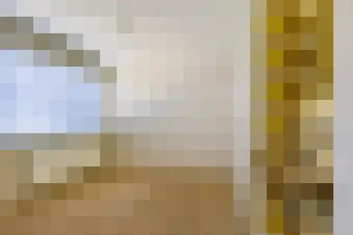 Halleyhof 5 Veldhoven thumbnail 23